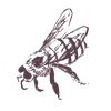 Bee icon Bee icon