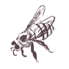 Bee icon